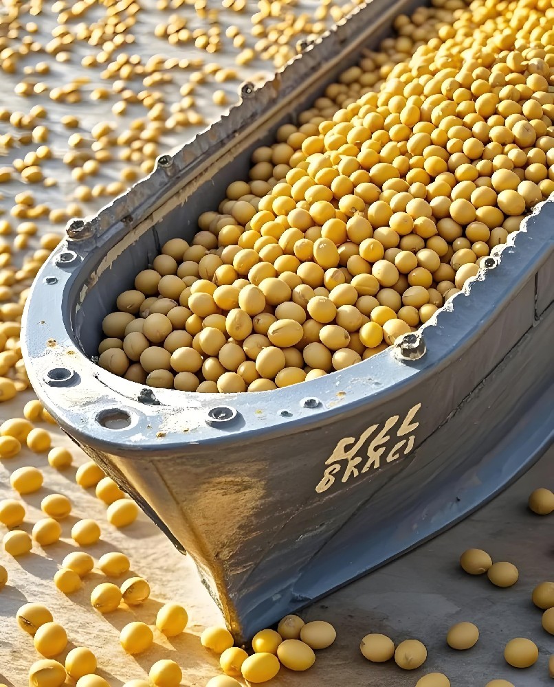 Soybean Imports Undergo Major Shakeup! Zero U.S. Imports in September as South American Influence Surges