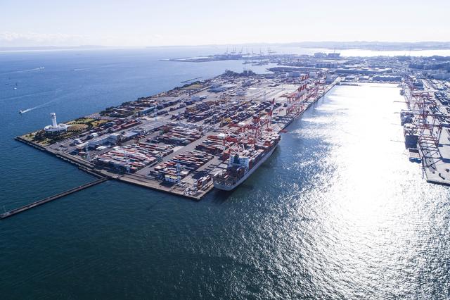 South Africa’s Durban Port Crisis! Chemical Supply Disruption, 7-Day Ship Delays, and Freight Rates Soar 12% Overnight!