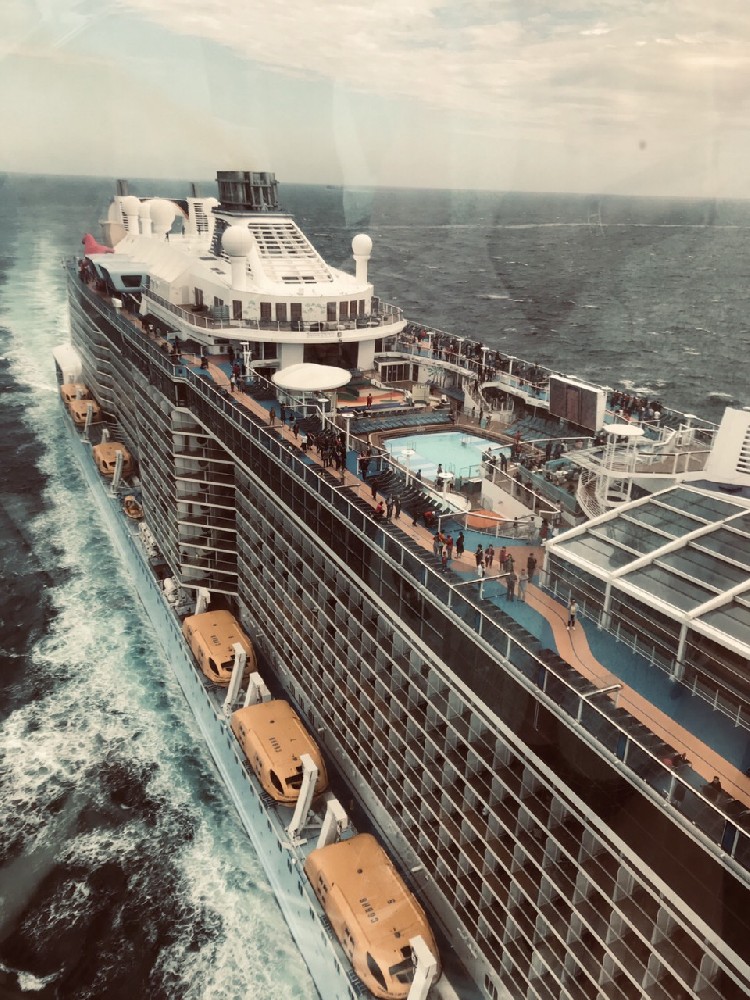 Banana Container's Oceanic Escape! 5,200 Passengers on Luxury Cruise Ship Forced to Delay as Drifting Containers Appear in Shipping Lane