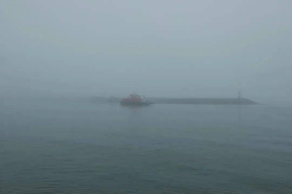 Houston Port Fog Causes 96-Hour Delays! Shipping Companies Emergency Route Change to Mobile, Shippers Caught Off Guard